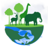 Wild Life Wild Life