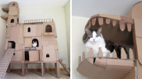 diy-krabpalen-voor-katten
