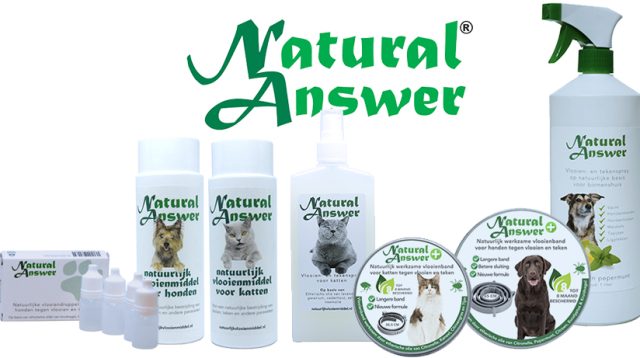 katten-en-natuurlijke-vlooienbestrijding